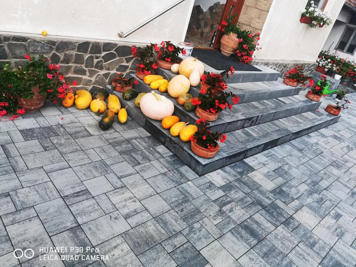 Sepsi Relax Hotel Sfantu Gheorghe  Exterior photo
