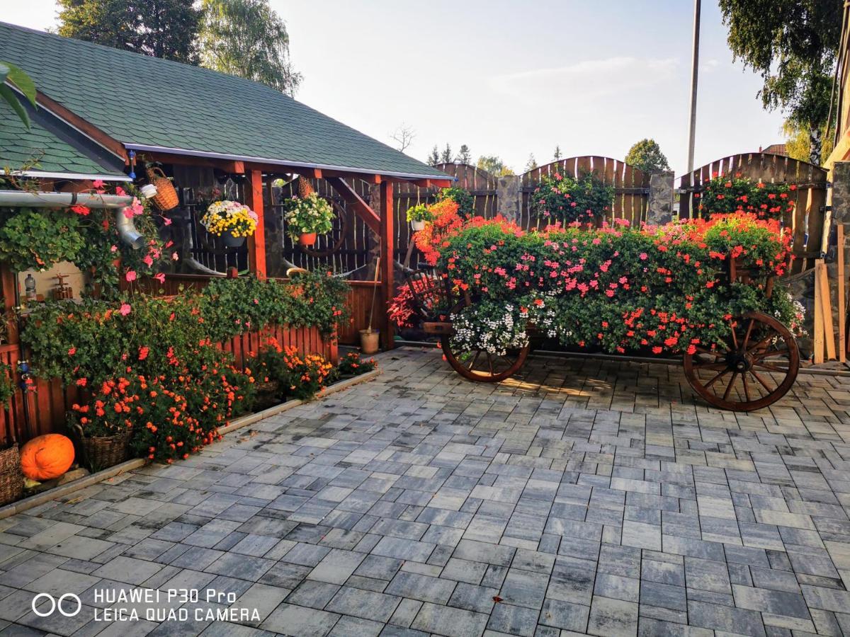 Sepsi Relax Hotel Sfantu Gheorghe  Exterior photo